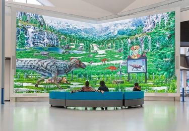 LED displays in museum 5